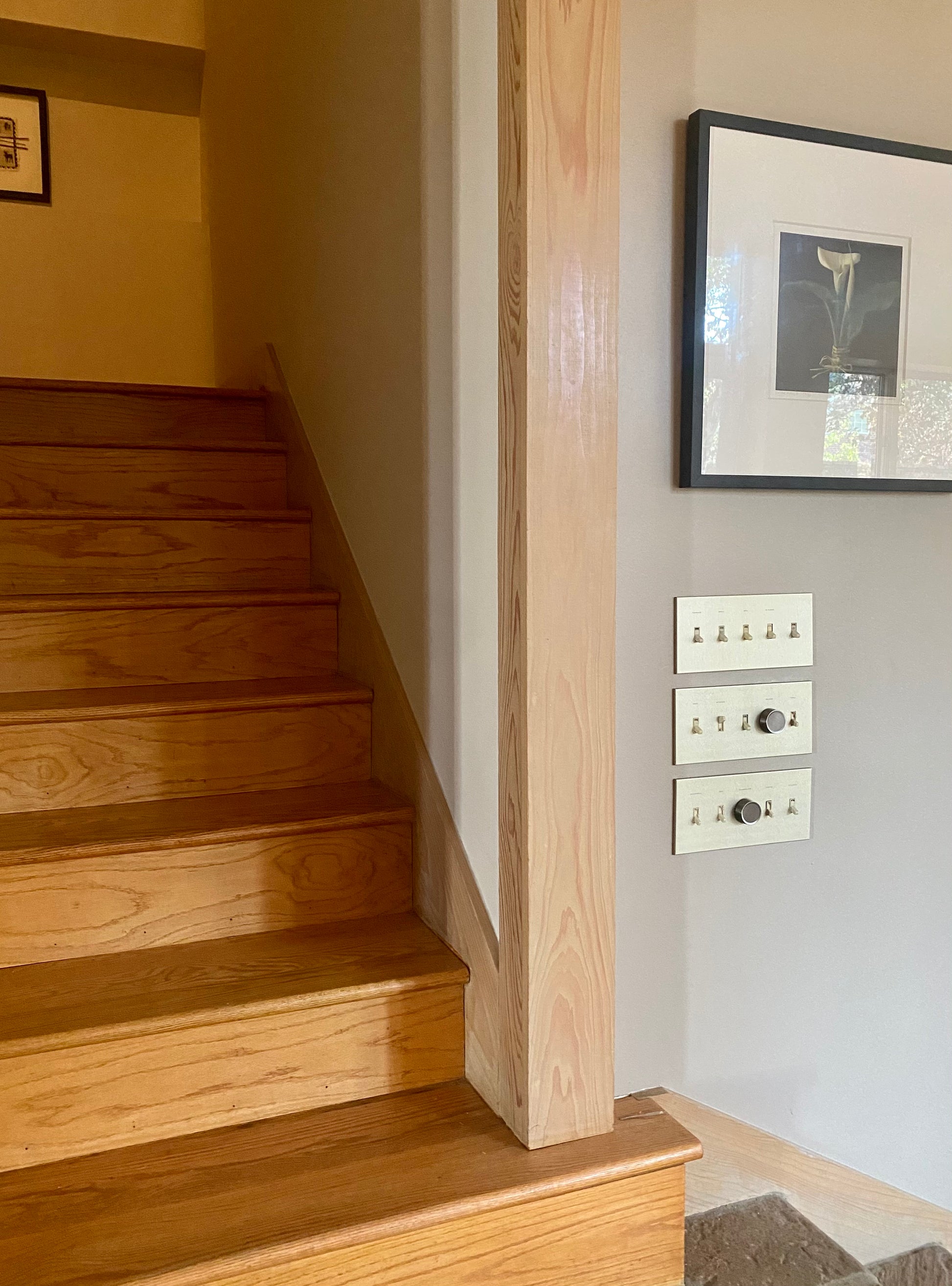 CleanPlate Classic Wall Plate in Midcentury Gold | Light switches