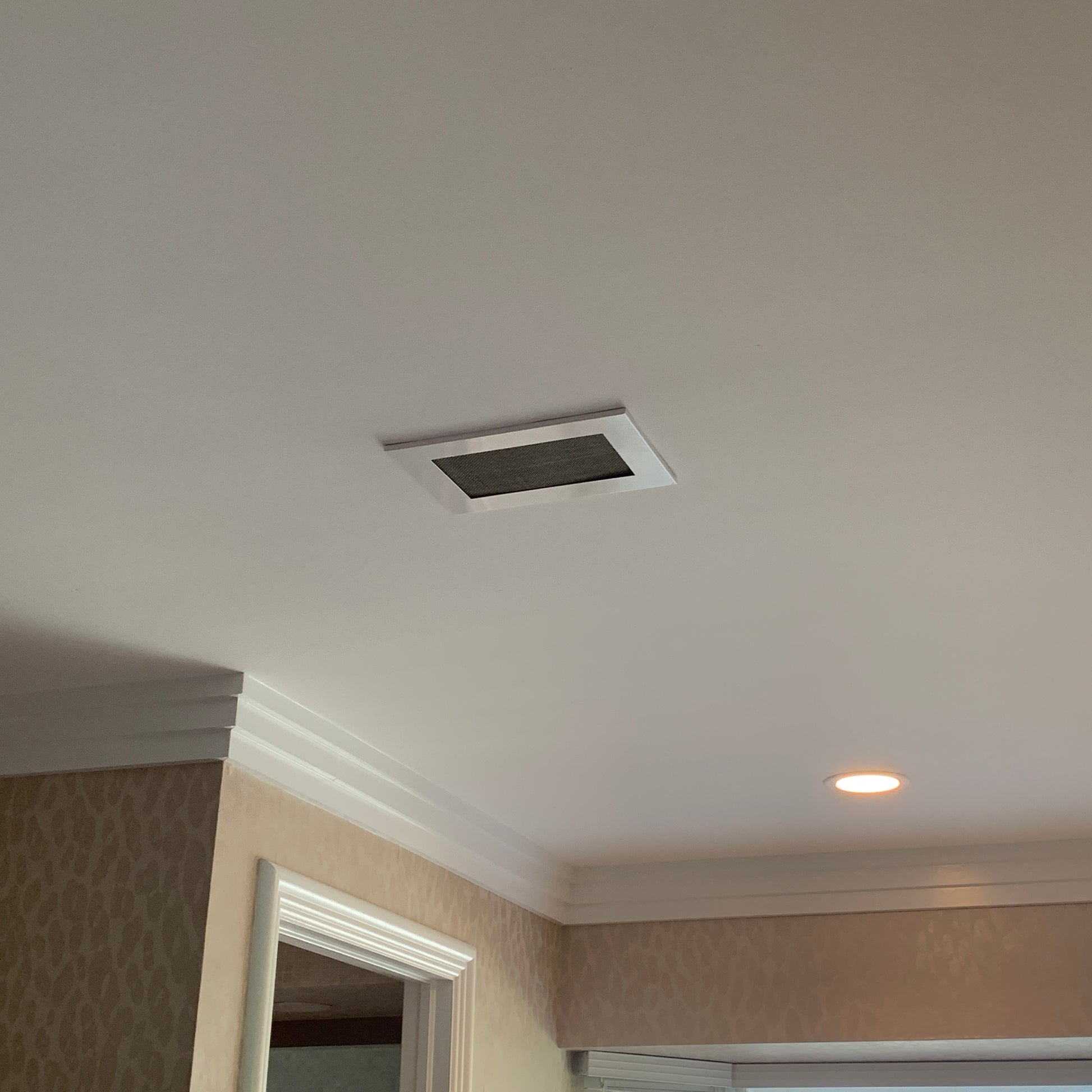 AC ceiling vent - CleanVent Speaker Pattern